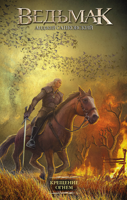 Книга Крещение огнем - Сапковский А. | SOVABOOKS