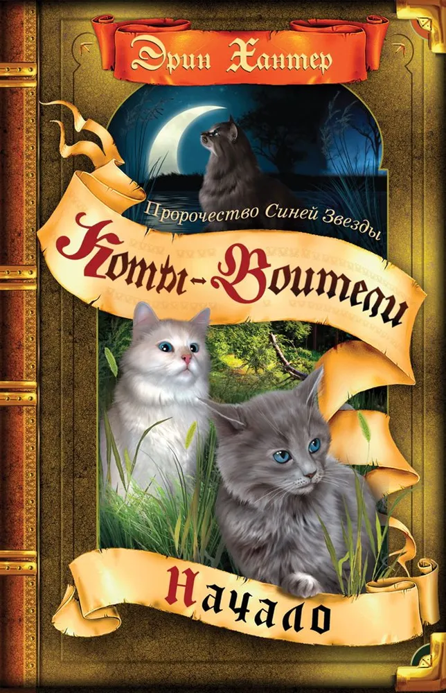 Книга Начало ХАНТЕР Э. | SOVABOOKS