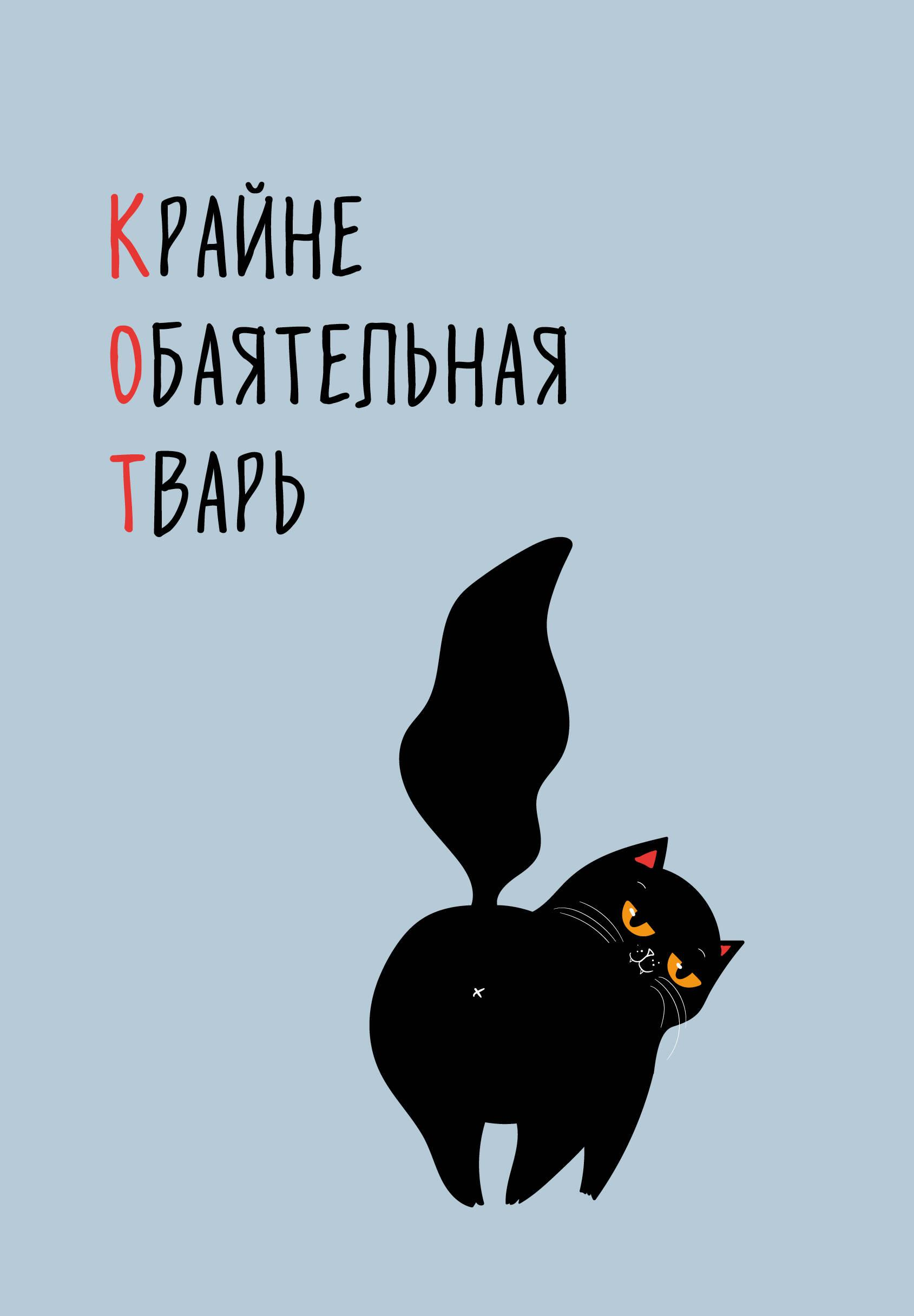 Книга КОТ (Крайне обаятельная тварь). Ежедневник недатированный (А5, 72 л.) - | SOVABOOKS