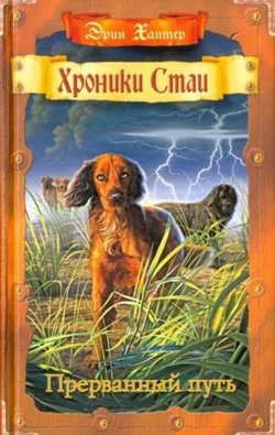 Книга Прерванный путь ХАНТЕР Э. | SOVABOOKS