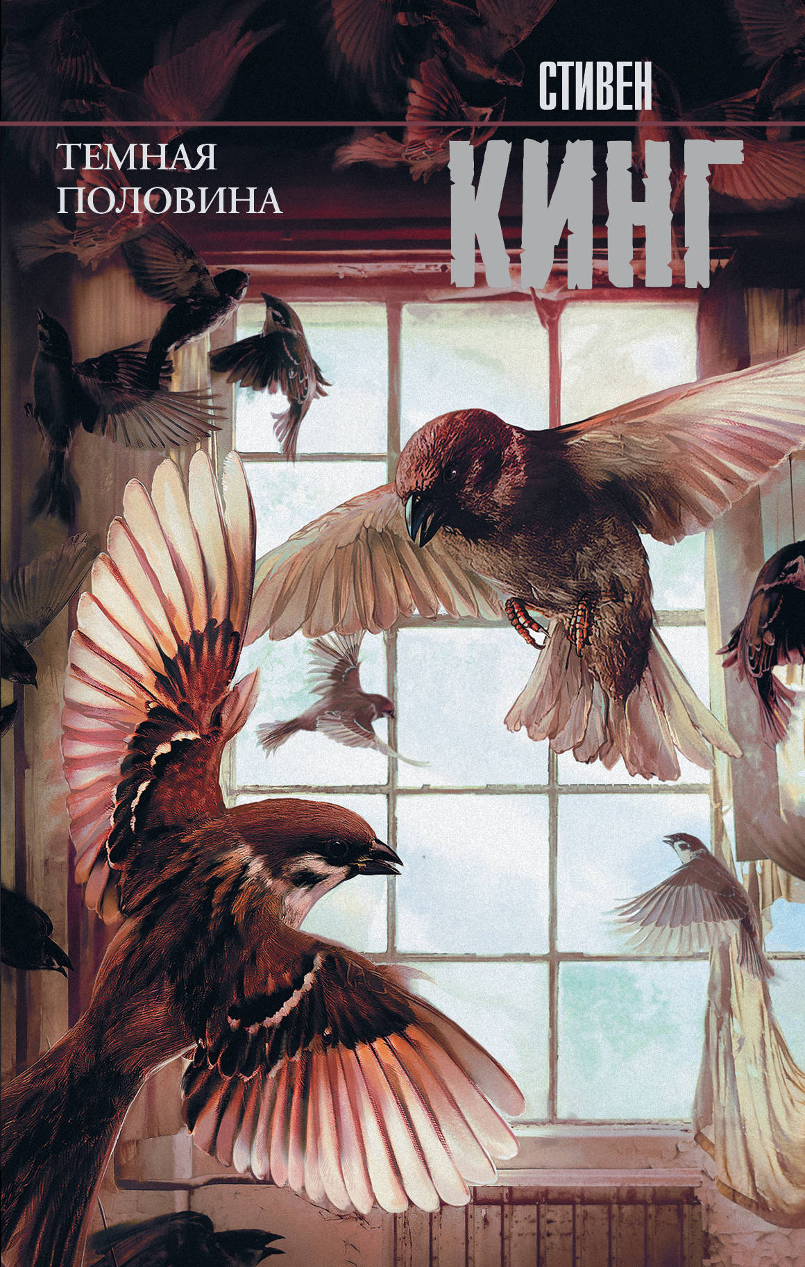 Книга Темная половина (новый перевод) - Кинг С. | SOVABOOKS
