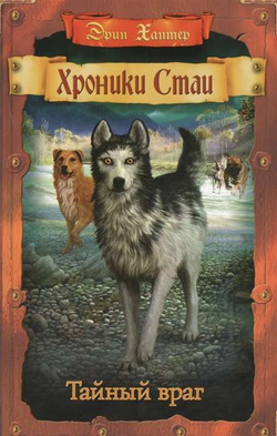 Книга Тайный враг - ХАНТЕР Э. | SOVABOOKS