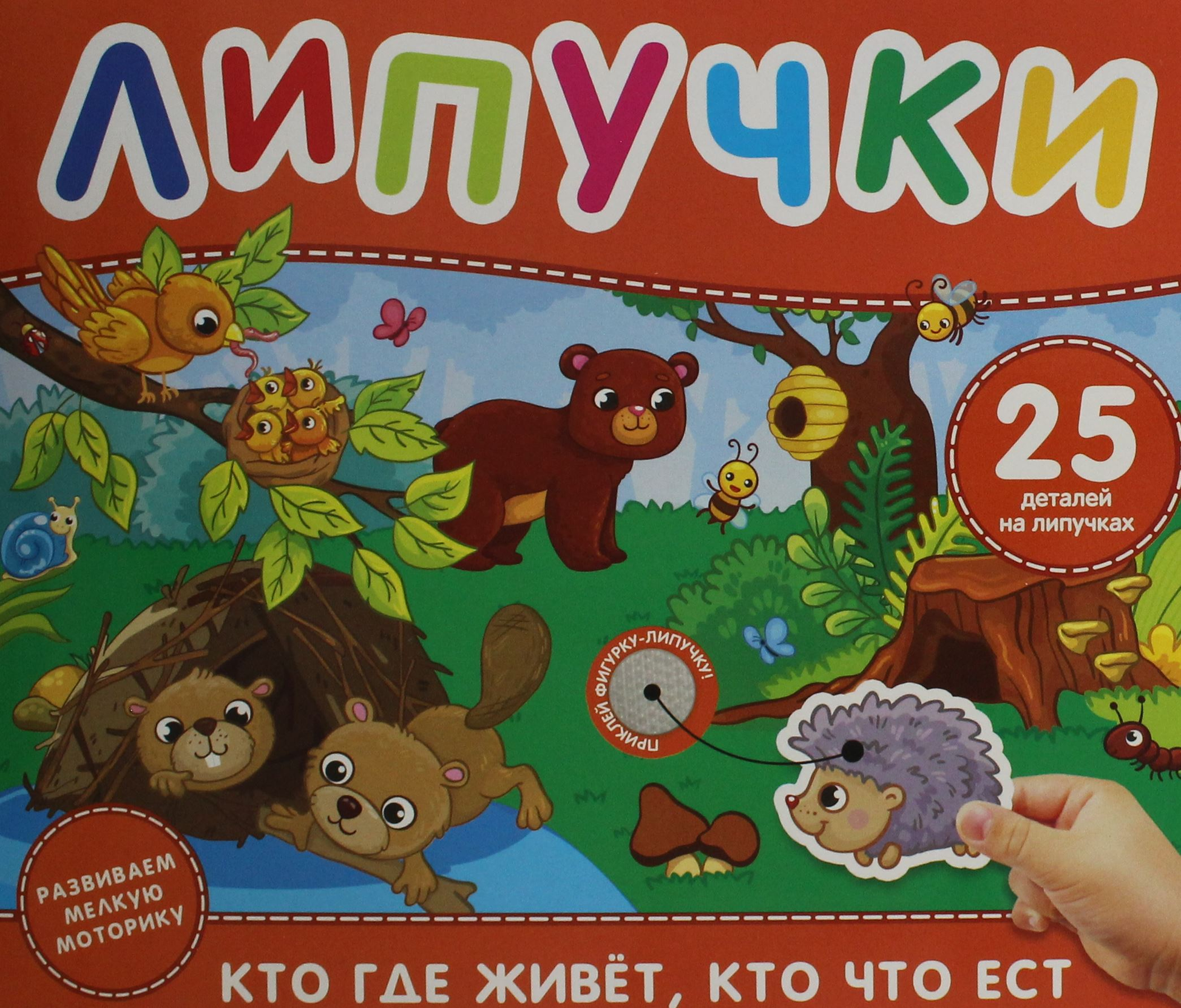 Книга Кто где живет, кто что ест. Книга с липучками Скалкина Ангелина - SOVABOOKS