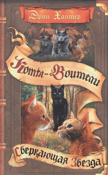 Книга Сверкающая Звезда - ХАНТЕР Э. | SOVABOOKS