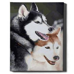 Книга Картина по номерам Хаски - nan | SOVABOOKS