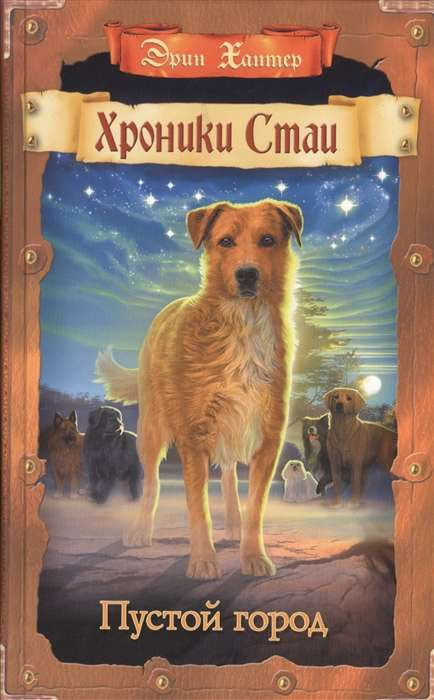 Книга Пустой город - ХАНТЕР Э. | SOVABOOKS