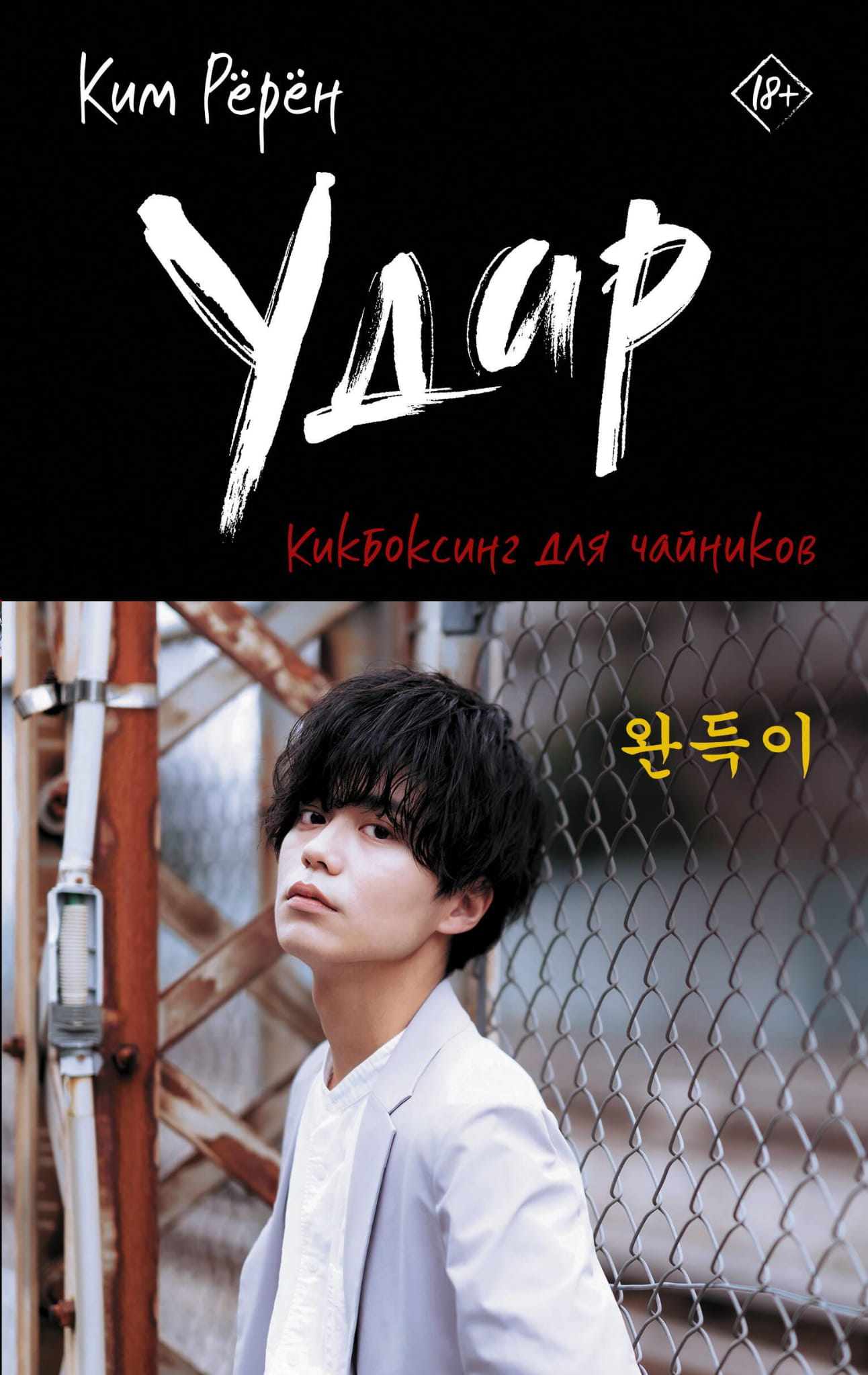 Книга Удар. Кикбоксинг для чайников - Ким Р. | SOVABOOKS