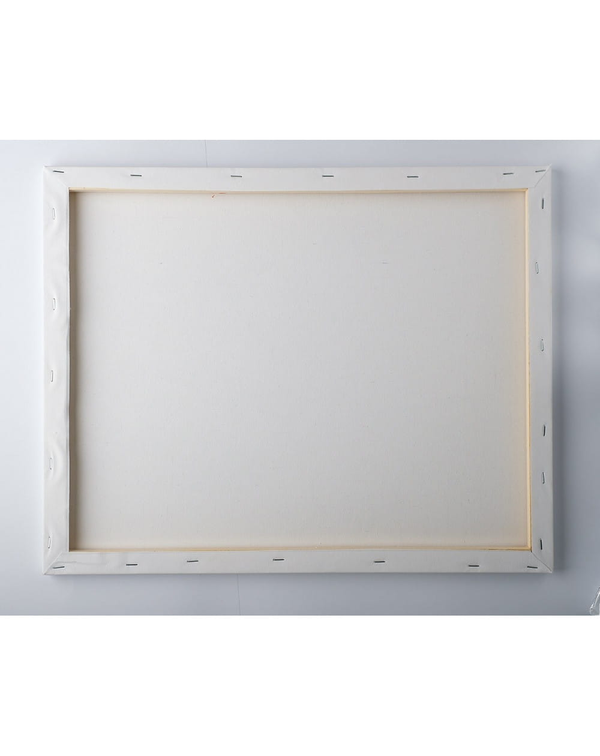 Картина по Номерам Кот Ван Гога