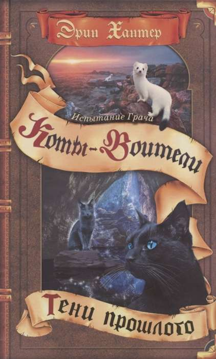 Книга Испытание Грача. Тени прошлого ХАНТЕР Э. | SOVABOOKS