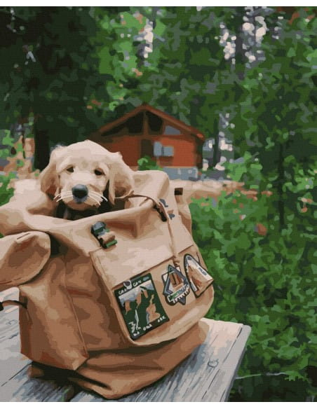Книга Картина по номерам Щенок в рюкзаке - nan | SOVABOOKS