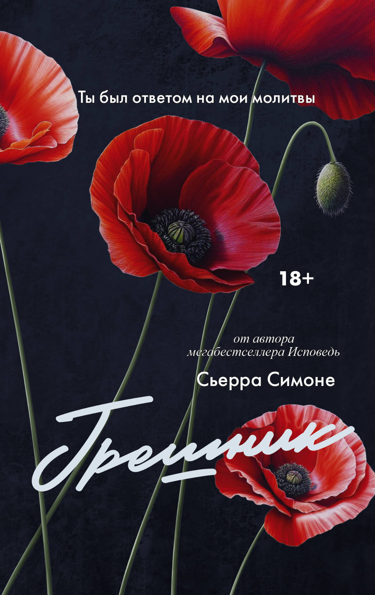 Книга Грешник - Симоне С. | SOVABOOKS