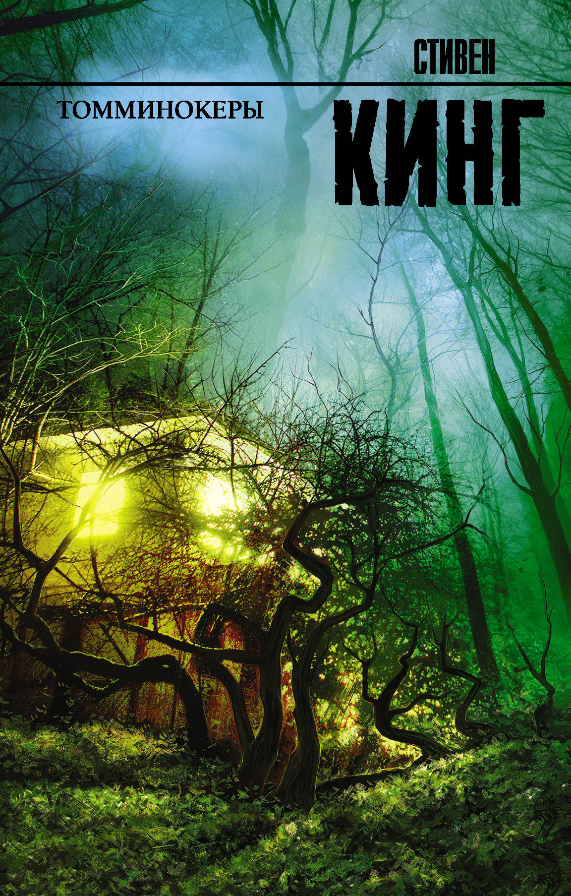 Книга Томминокеры - Кинг С. | SOVABOOKS
