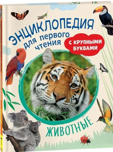 Книга Животные. Энциклопедия для первого чтения с крупными буквами ГАЛЬЦЕВА С. Н., КЛЮШНИК Л. В. - SOVABOOKS