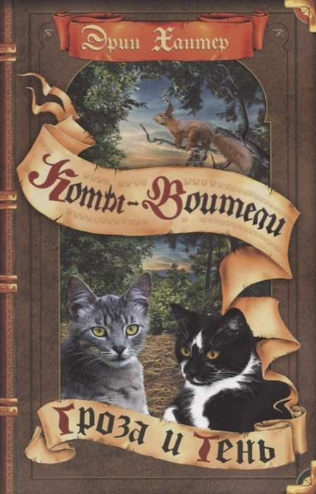 Книга Гроза и тень ХАНТЕР Э. | SOVABOOKS