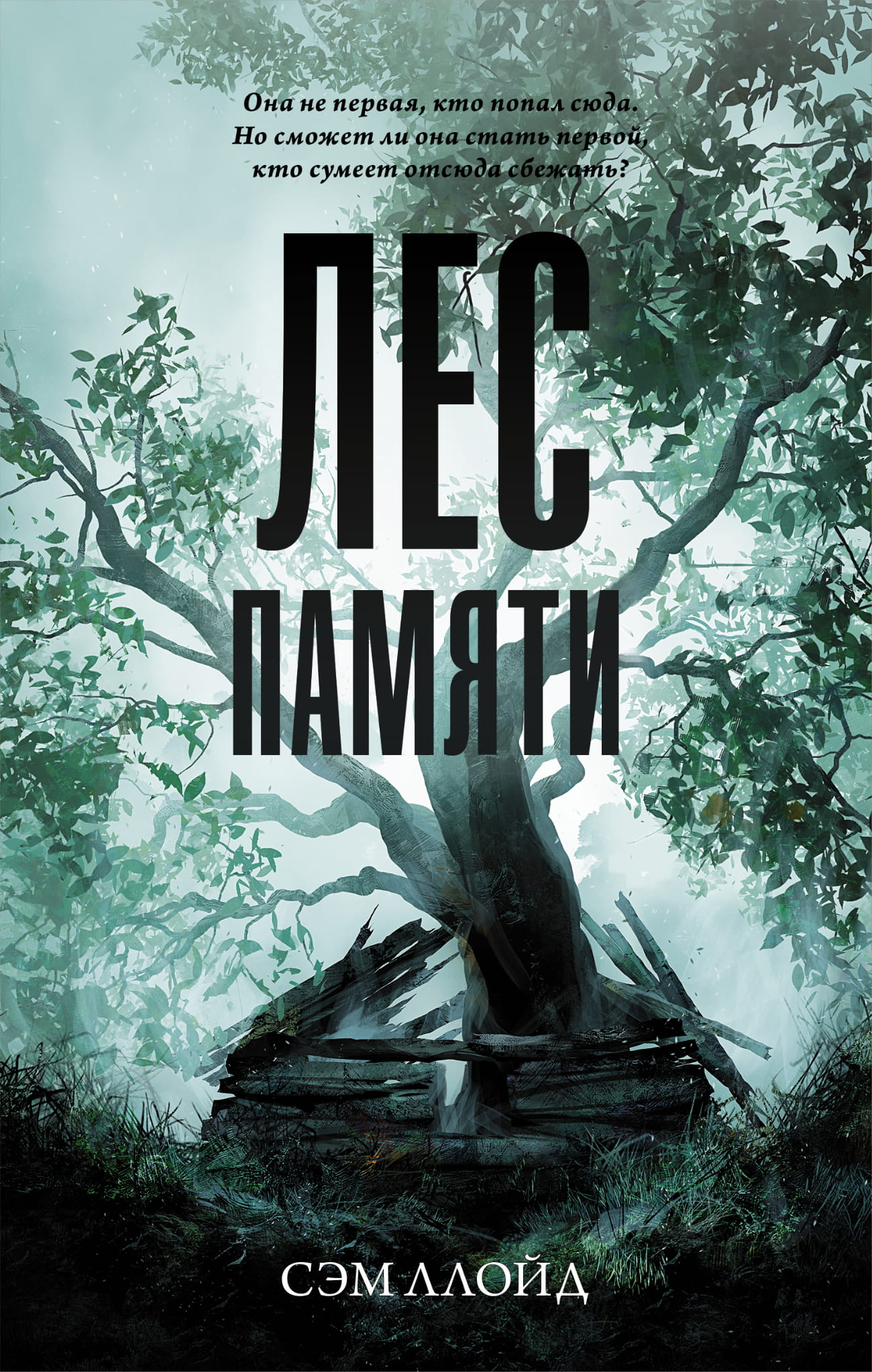 Книга Лес Памяти - Ллойд С. | SOVABOOKS