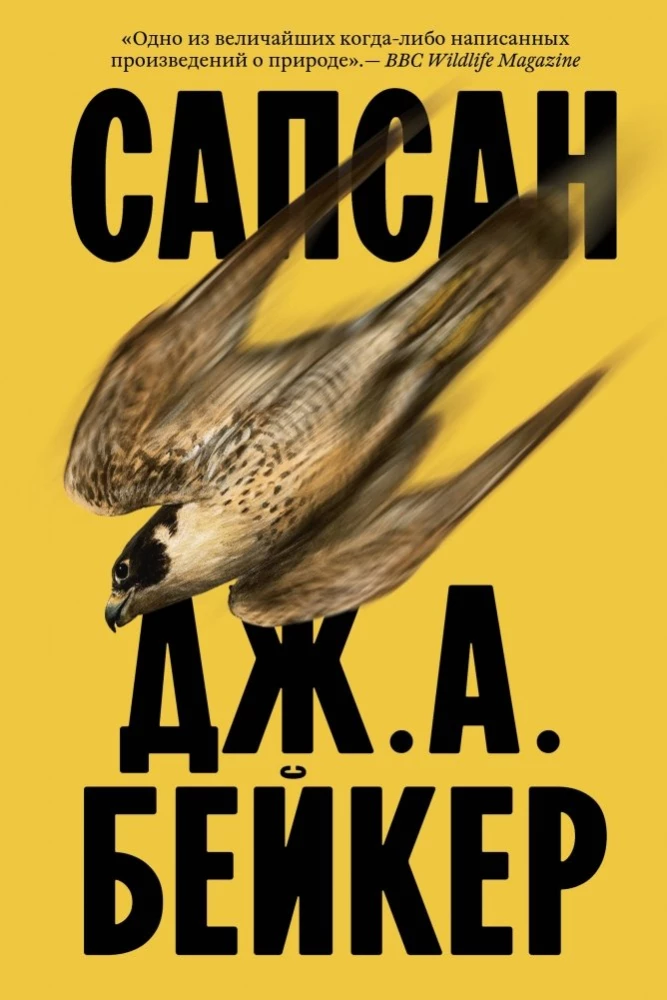 Книга Сапсан - Джон Алек Бейкер | SOVABOOKS