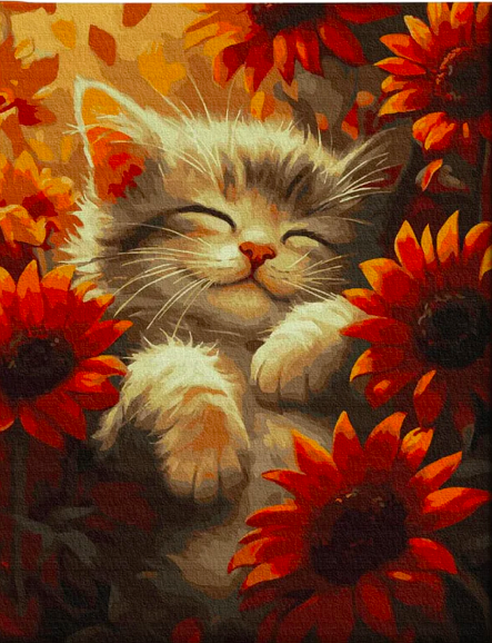 Книга Картина по номерам Солнечный котик - nan | SOVABOOKS