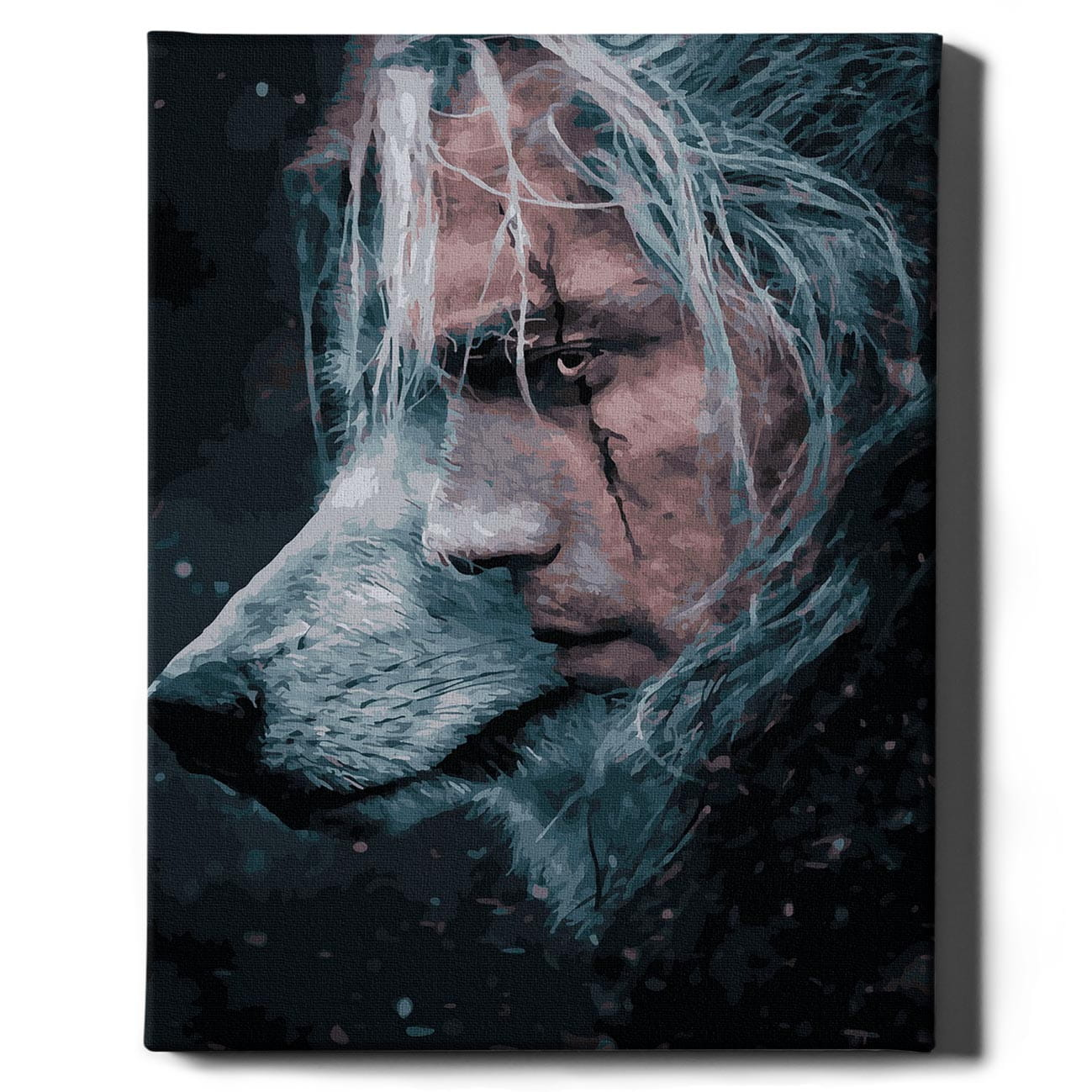 Книга Картина по номерам Ведьмак - nan | SOVABOOKS