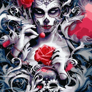 Книга Картина по номерам девушка розой - nan | SOVABOOKS