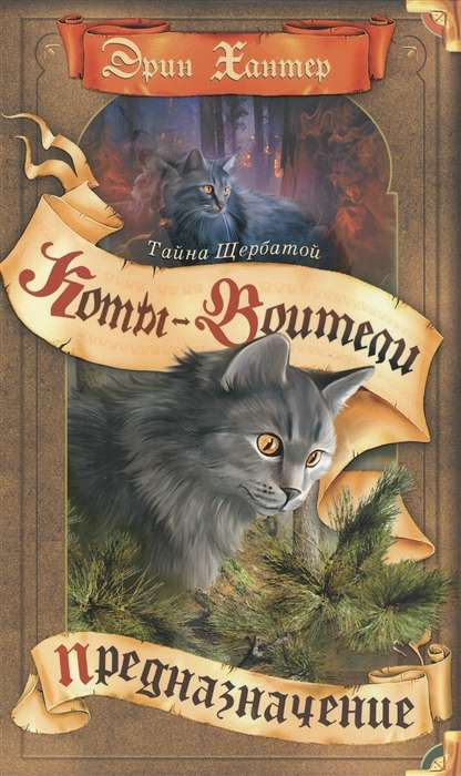 Книга Тайна Щербатой. Предназначение - ХАНТЕР ЭРИН | SOVABOOKS