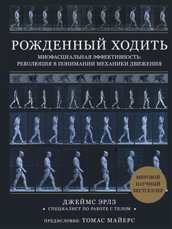 Книга Рождённый ходить. Миофасциальная эффективность: революция в понимании механики движения - ЭРЛЗ Д. | SOVABOOKS