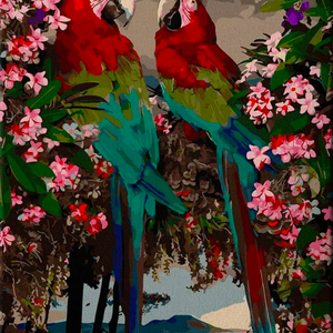 Книга Картина по номерам Папугаи Ара - nan | SOVABOOKS