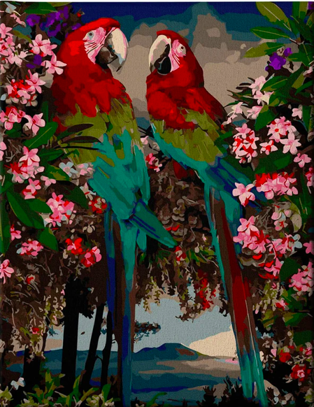 Книга Картина по номерам Папугаи Ара - nan | SOVABOOKS