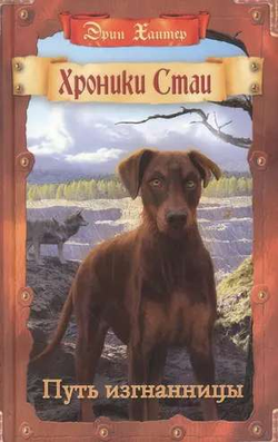 Книга Хроники Стаи. Путь изгнанницы - ХАНТЕР Э. | SOVABOOKS