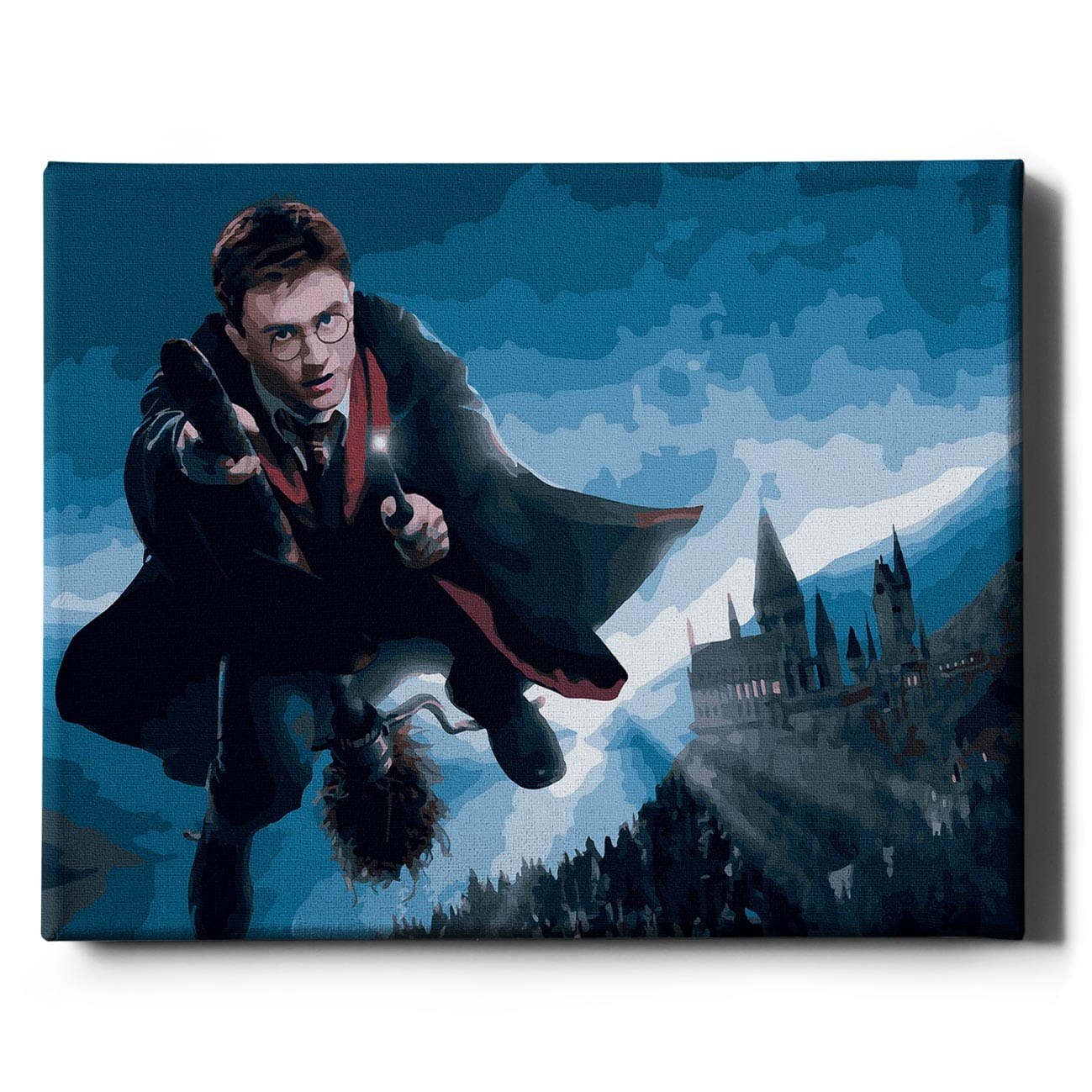 Книга Картина по номерам Гарри на метле - nan | SOVABOOKS