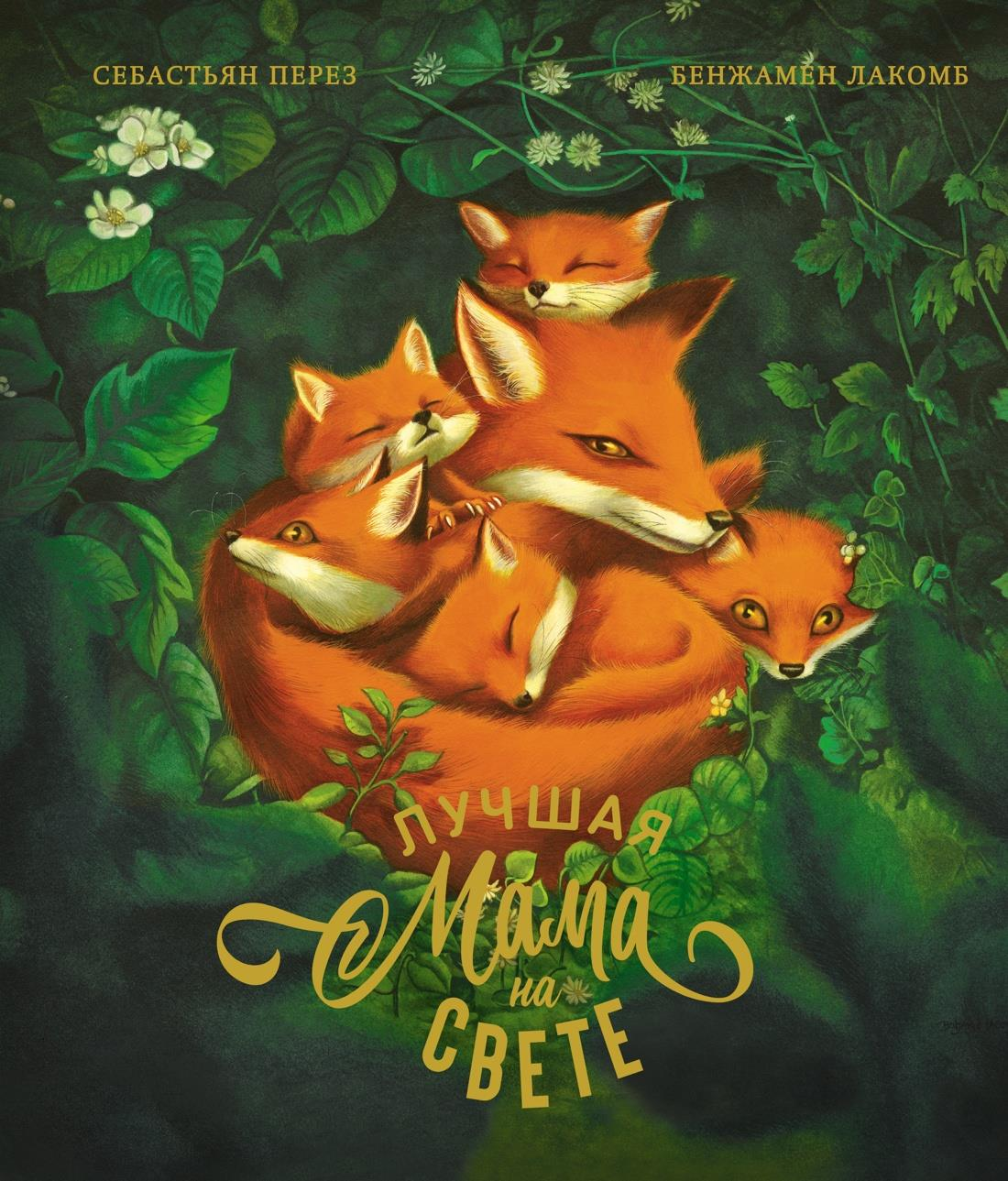 Книга Лучшая мама на свете (илл. Б. Лакомба) Перез С. - SOVABOOKS