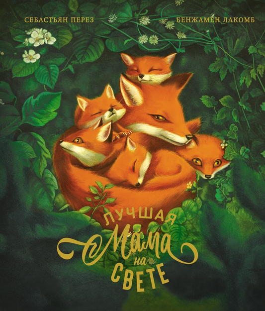 Книга Лучшая мама на свете (илл. Б. Лакомба) Перез С. - SOVABOOKS