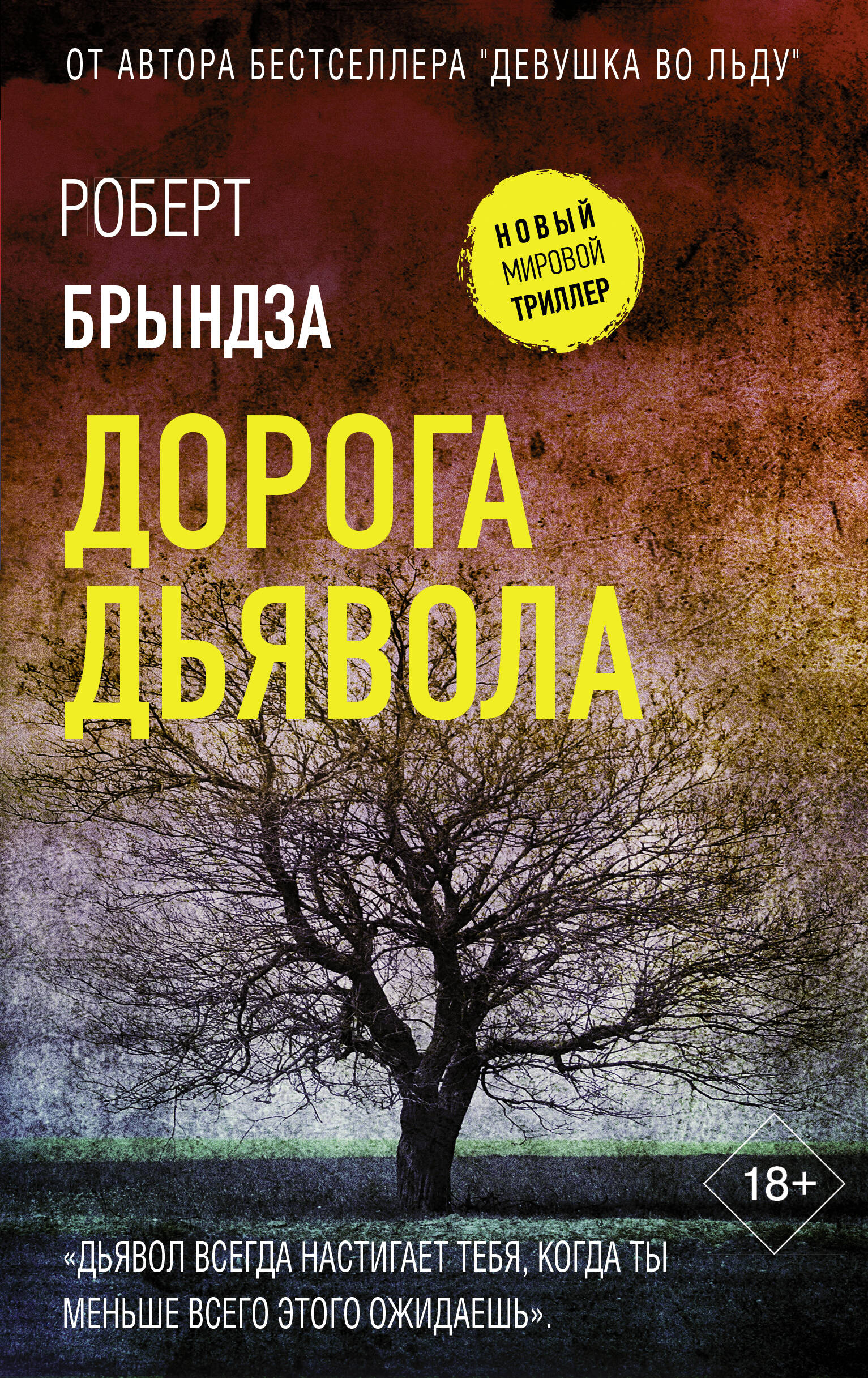 Книга Дорога дьявола Брындза Р. | SOVABOOKS