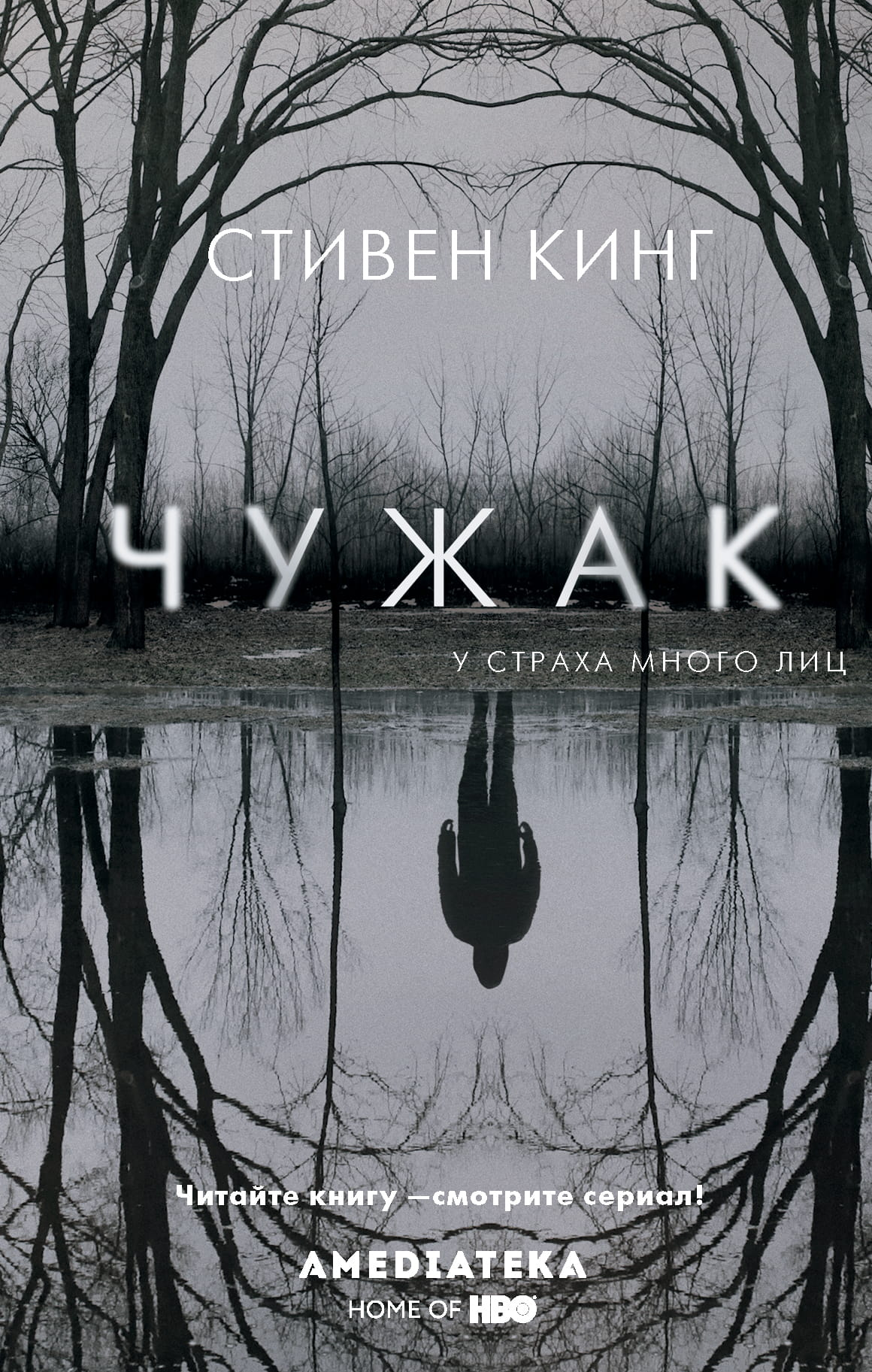 Книга Чужак - Кинг С. | SOVABOOKS
