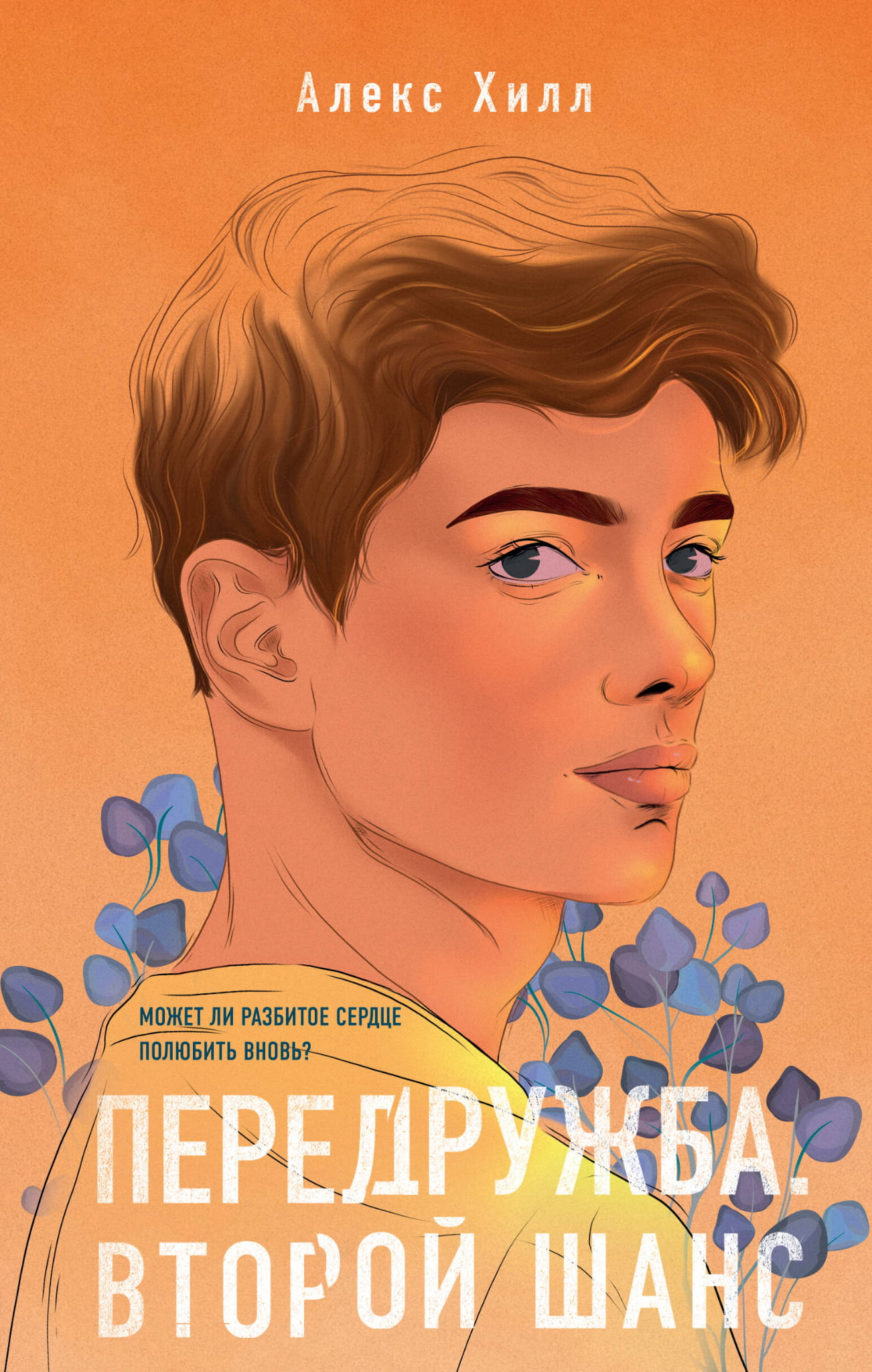 Книга Передружба. Второй шанс - Хилл А. | SOVABOOKS