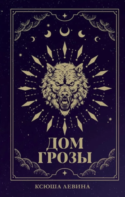 Книга Дом грозы - Ксюша Левина | SOVABOOKS