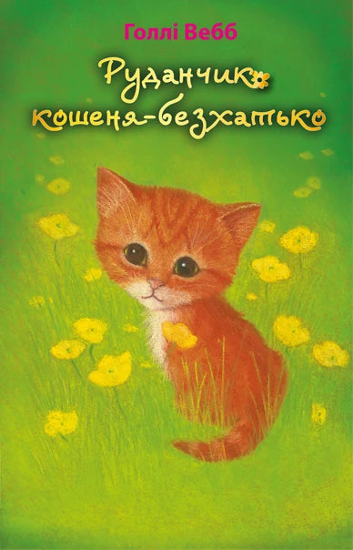 Маленькое украинское детское книжное издание "Руданчик — кошеня-безхатько" с иллюстрацией котенка на обложке