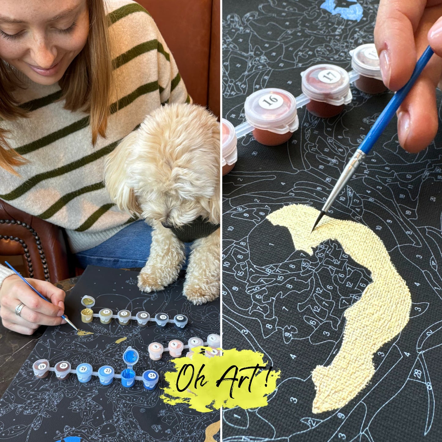 Картина по номерам Весёлый йоркширский терьер с золотистой краской.