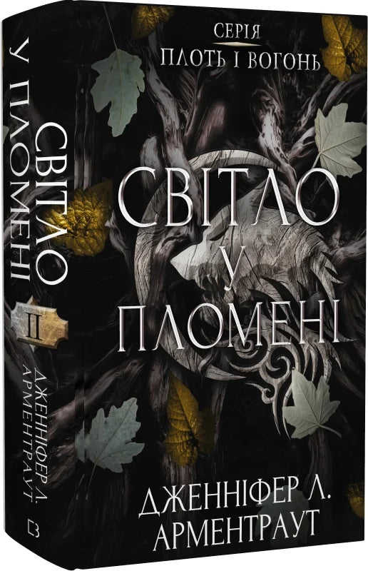Обложка украинской книги "Плоть і вогонь. 2: Світло у пломені" от Sovabooks, изображение с ярким огненным фоном.