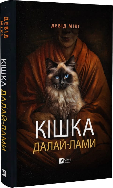 Современная украинская художественная книга о кошке, написанная СоваБукс, изображение обложки и название книги