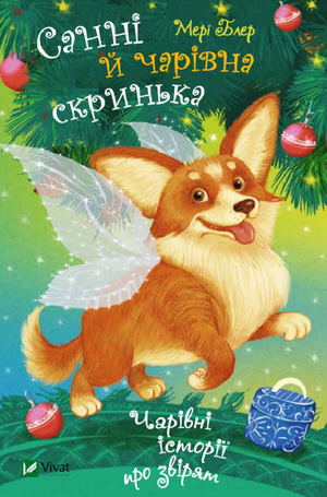 Дитяча книга "Санні й чарівна скринька" Мері Блер, українське видання, ілюстрація з обкладинки, для дітей