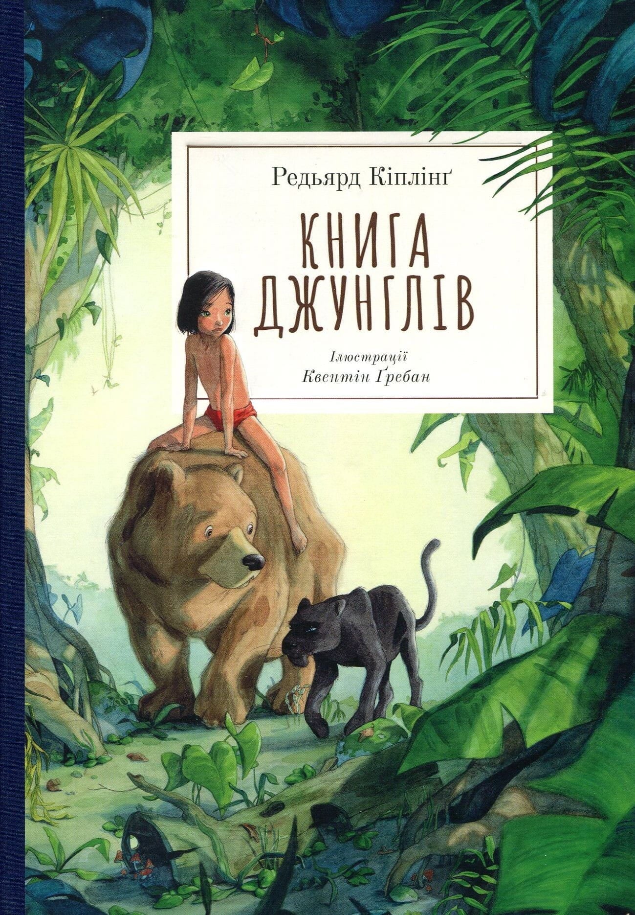 Детская книга "Книга джунглів" с иллюстрациями Квентіна Ґребана, яркие изображения, издана Sovabooks