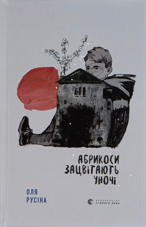 Дитяческая книга "Абрикоси зацвітають уночі" Ольги Русіної, украинская детская книга, изображение обложки.