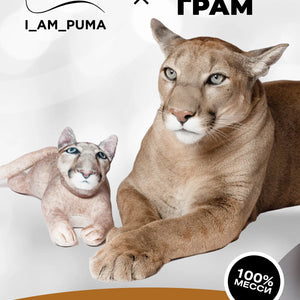 Игрушка-антистресс 