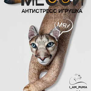 Игрушка-антистресс 