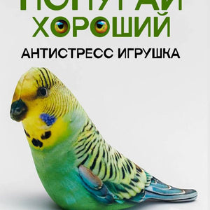 Игрушка-антистресс 