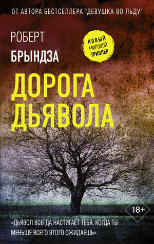 Обложка книги "Дорога дьявола" Роберт Брындза, российский роман в жанре триллер и детектив, изображение на сайте Sovabooks