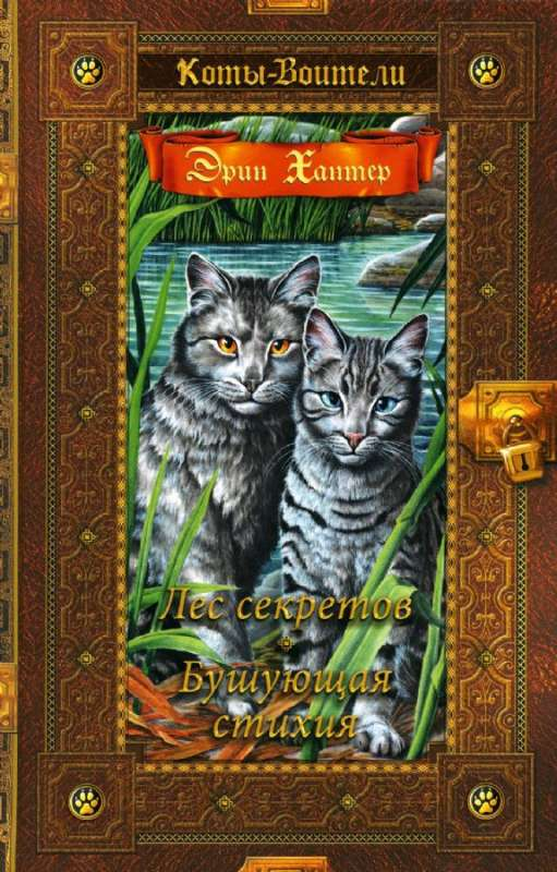Детская книга "Лес секретов. Бушующая стихия" от SOVABOOKS с ярким иллюстративным обложкой.