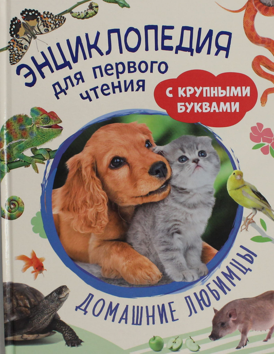 Детская книга "Домашние любимцы" от SOVABOOKS с крупными буквами для первого чтения, иллюстрации домашних животных