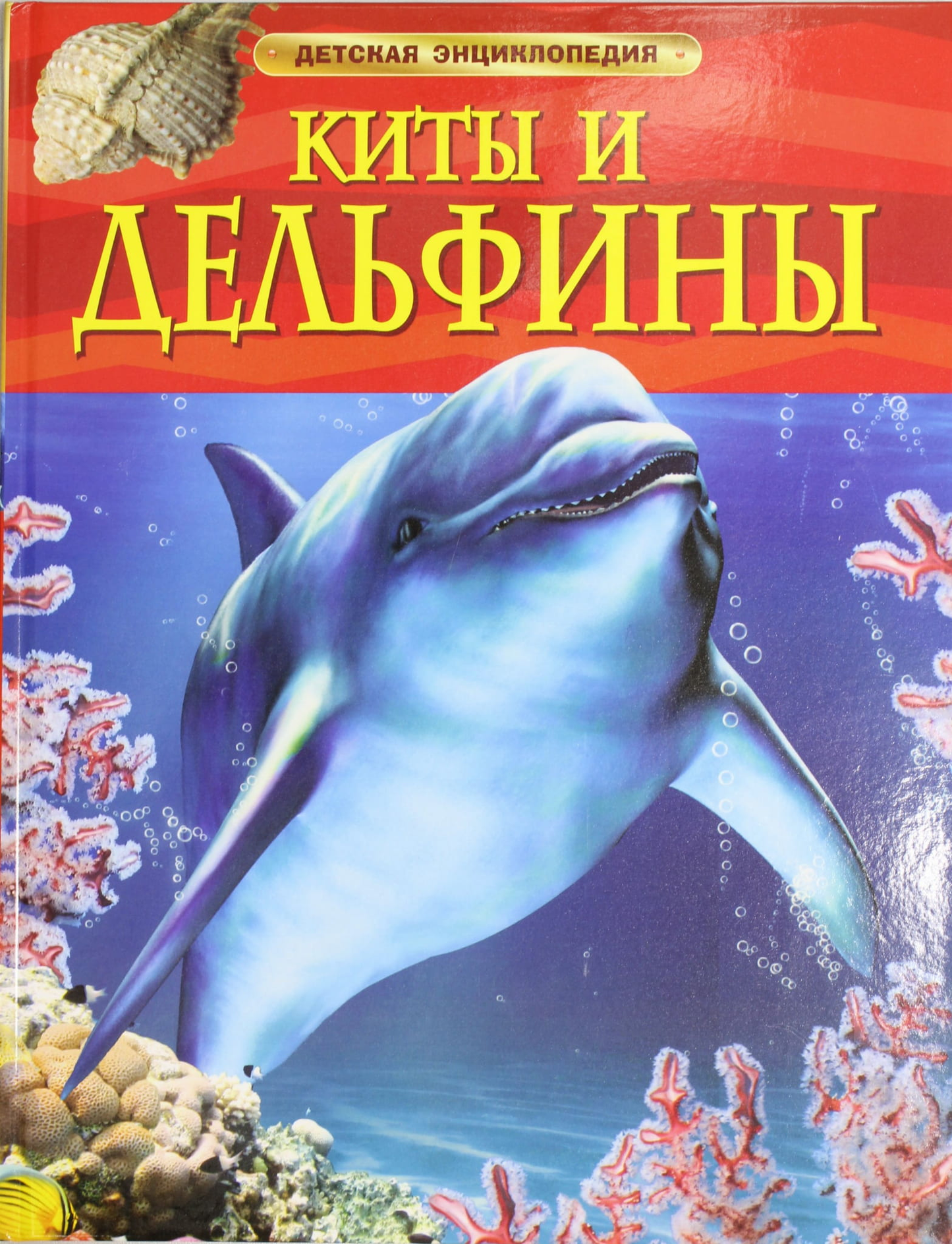 Детская книга "Киты и дельфины" от SOVABOOKS с яркими иллюстрациями морских животных.