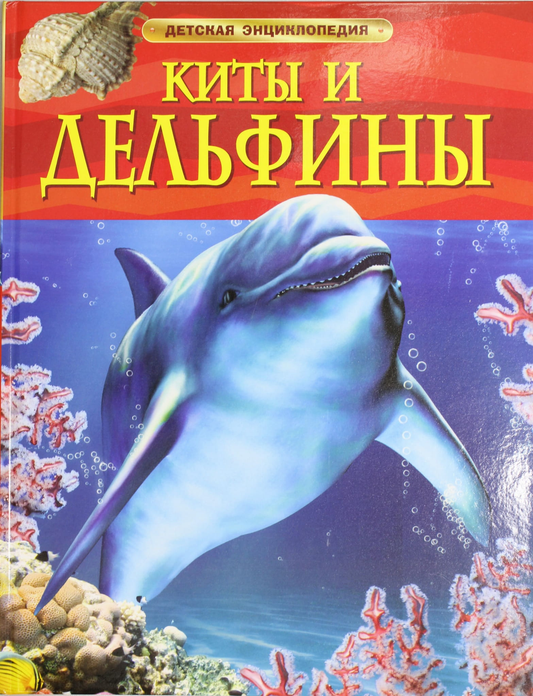 Детская книга "Киты и дельфины" от SOVABOOKS с яркими иллюстрациями морских животных.